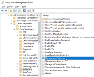 Citrix Workspace app 2409.10 – Carl Stalhood